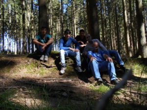 Vallée de l'Ourthe (6)